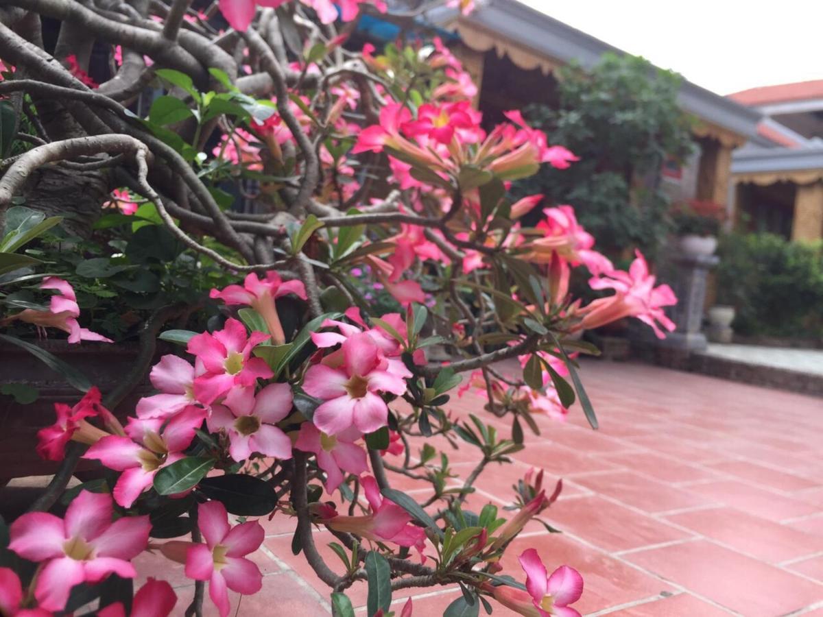 Tam Coc Tropical Garden Hotell Ninh Bình Exteriör bild